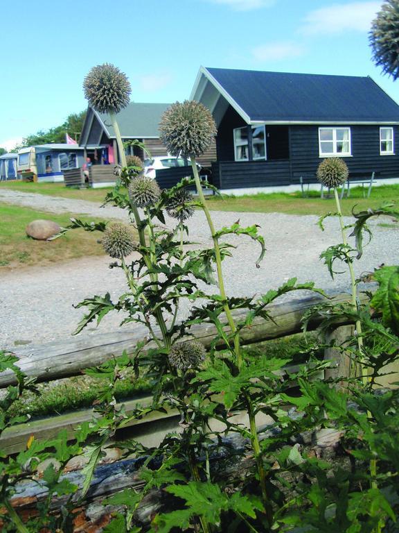 Toftum Bjerge Camping & Cottages Humlum Pokoj fotografie